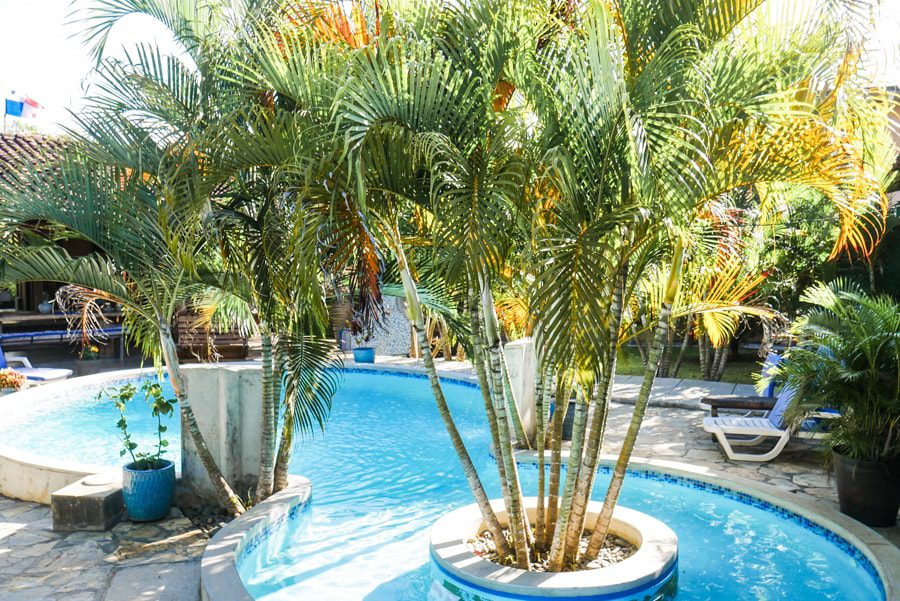 pool and bamboo casa lajagua pedasi panama pool and bamboo casa lajagua pedasi panama