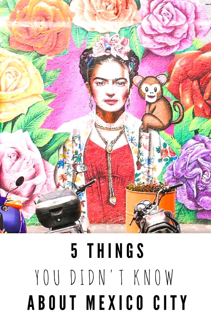 5 Things You Didn't Know about Mexico City travel 5 Things You Didn't Know about Mexico City travel