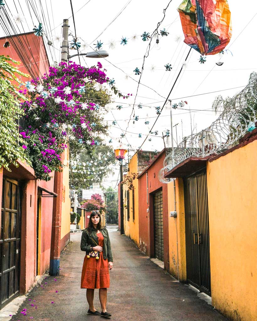 colorful streets of coyoacan