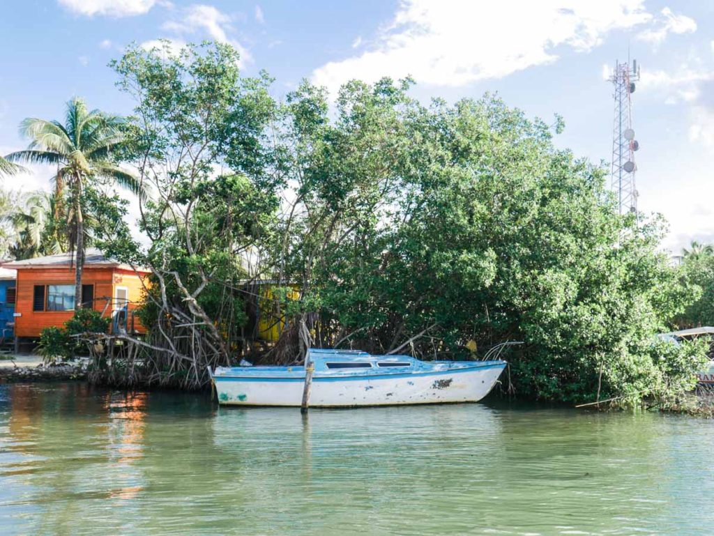 caye caulker things to do