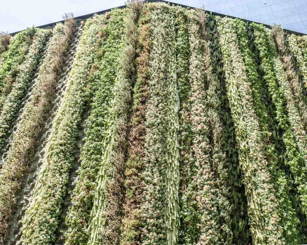 living wall mexico city