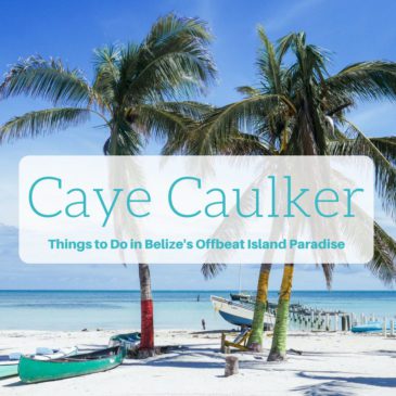 caye caulker things to do