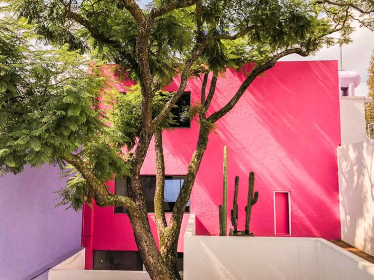 The 10 Prettiest Places in Mexico City to Take Instagram-Worthy Photos ...