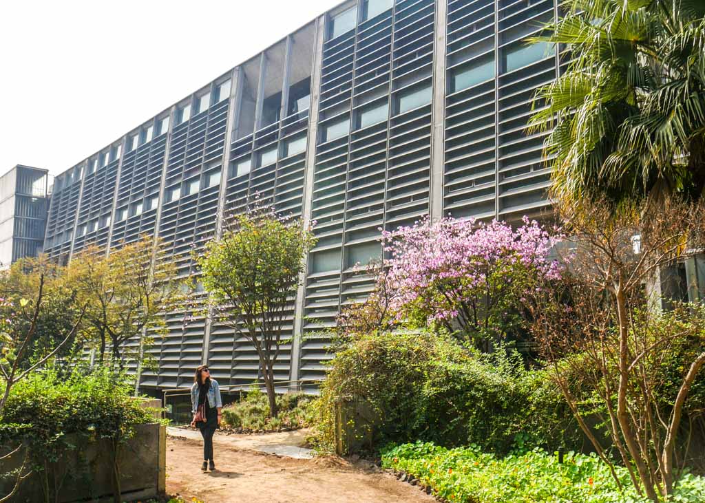 mexico city photos instagram biblioteca vasconcelos