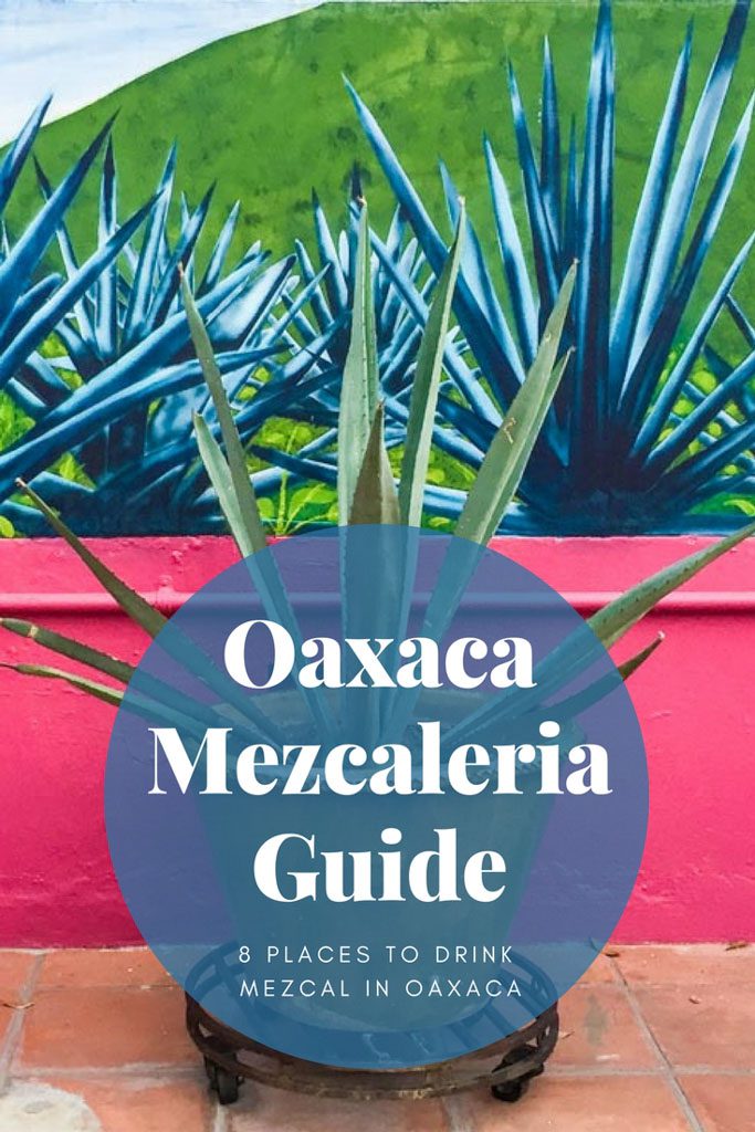 oaxaca mezcaleria guide 1