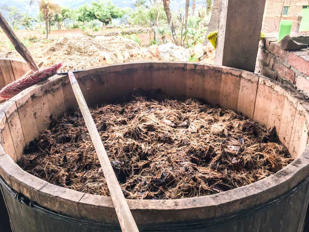 part of the fermentation method for mezcal