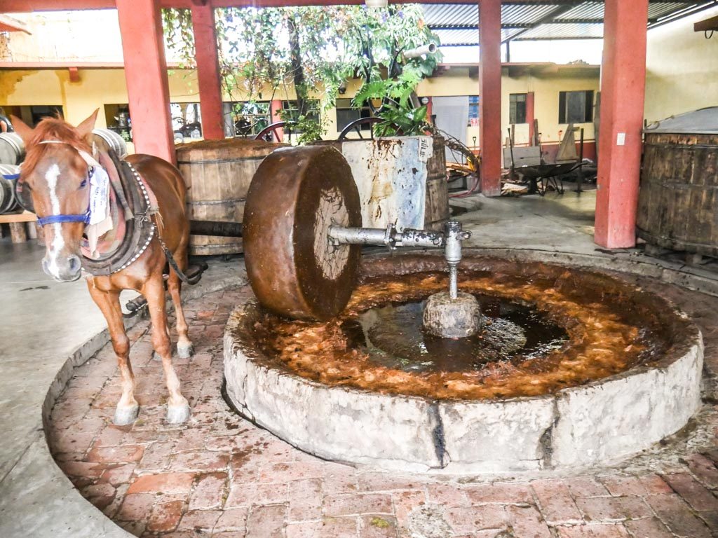 oaxaca mezcaleria guide