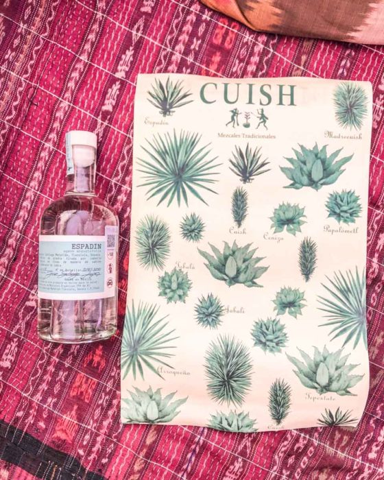 cuish mezcaleria in oaxaca