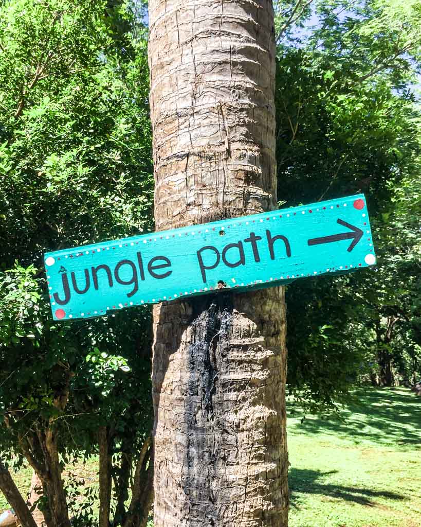 jungle path peace retreat
