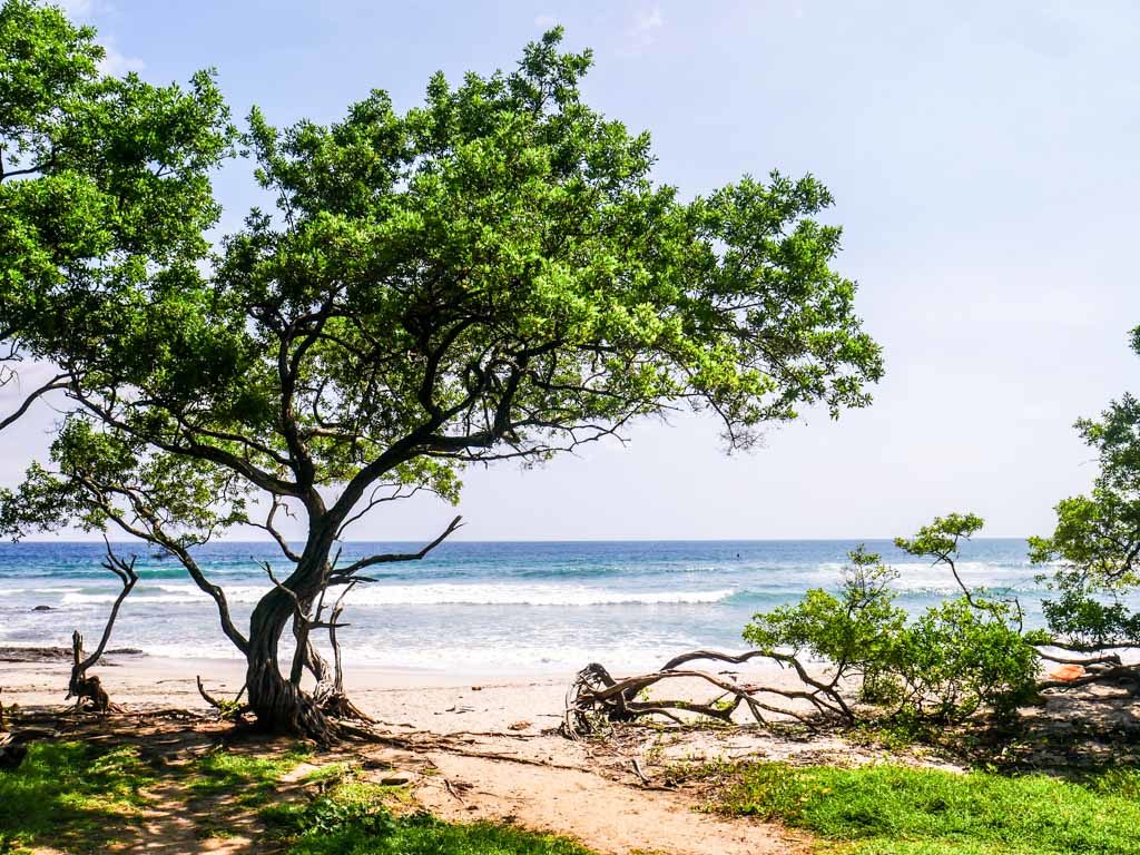 playa negra beach costa rica