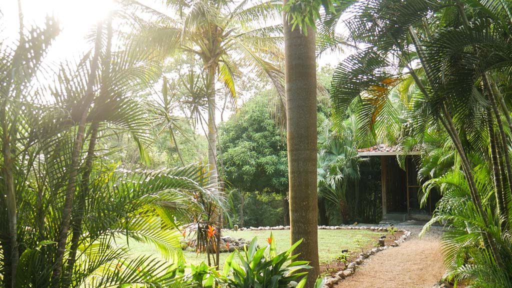 costa rica yoga retreat grounds