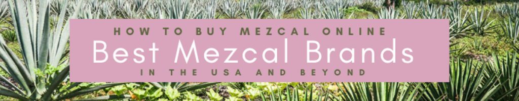 Copy of Copy of How to Buy Mezcal Online_ Best Mezcal Brands in the USALR