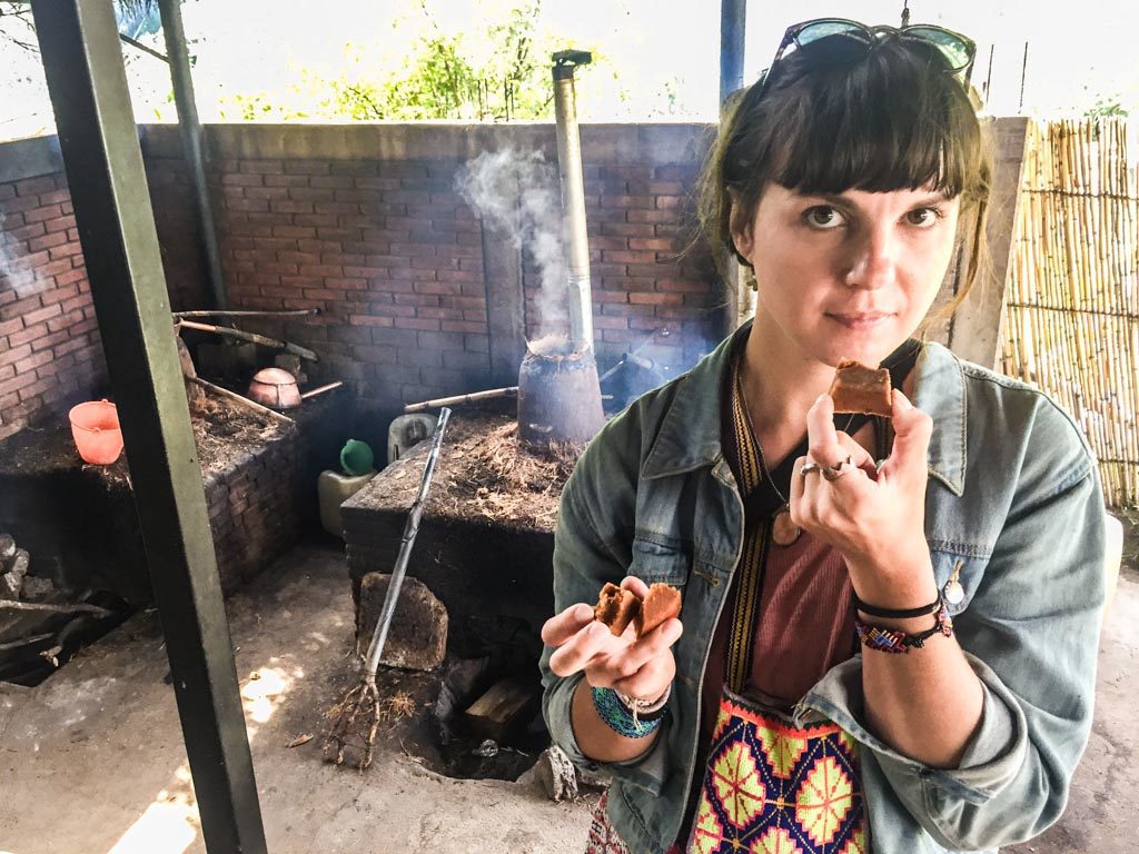 tasting roasted agave hearts