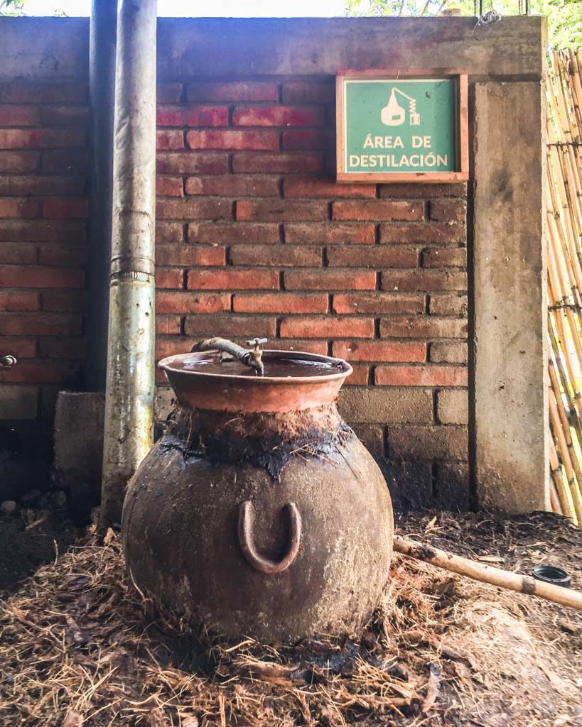 distillation oaxaca mezcal