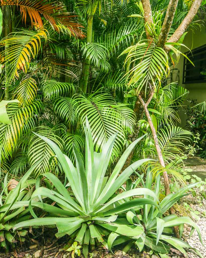 santa teresa hotel costa rica santa teresa hotel costa rica