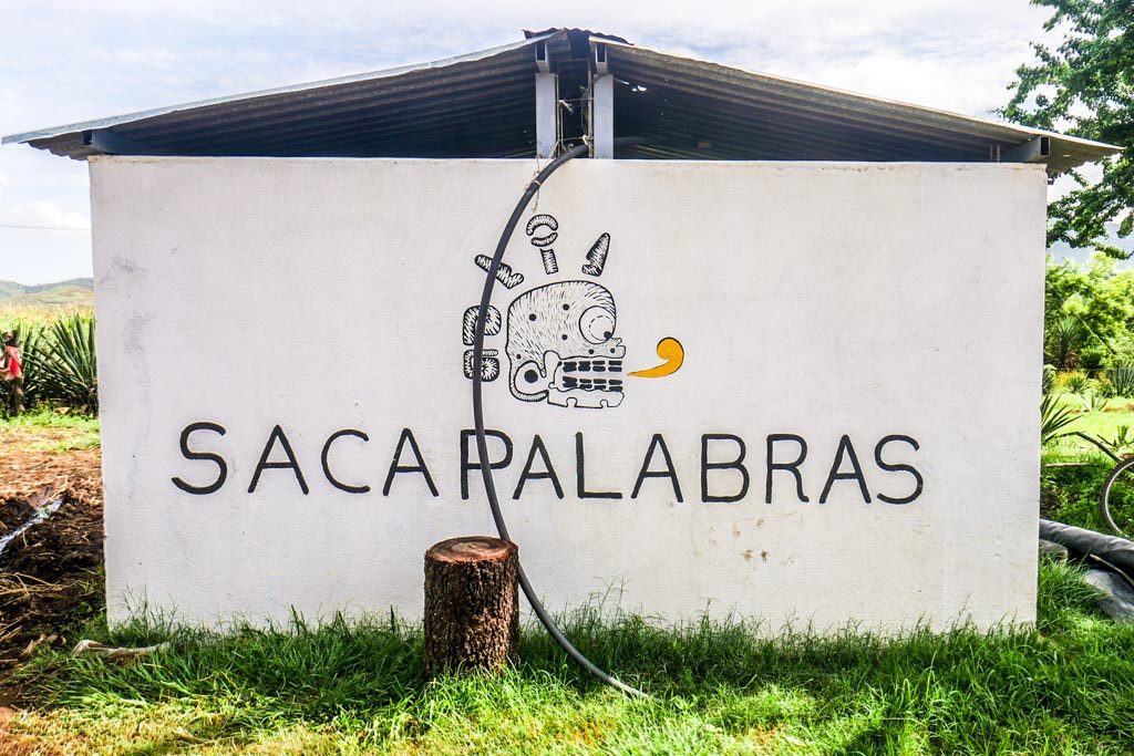 sacapalabras oaxaca mezcal tour