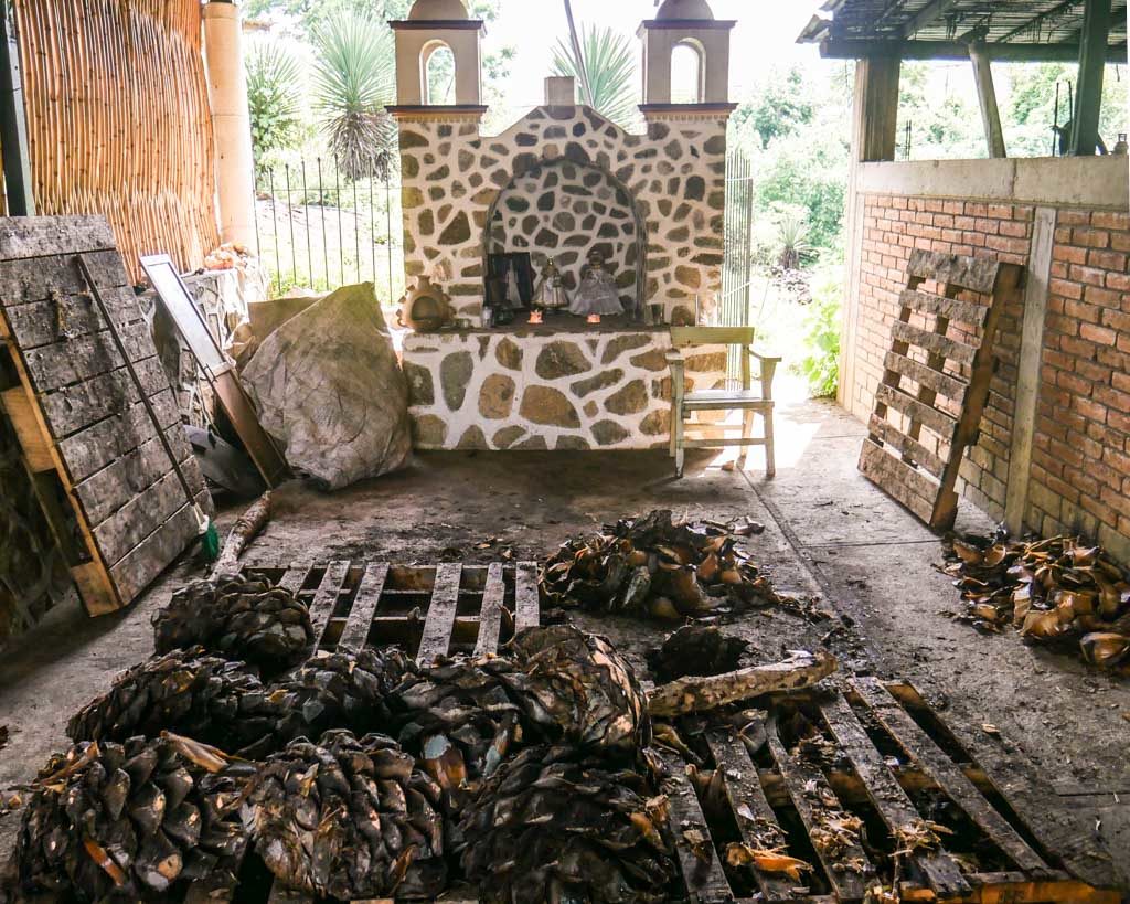 roasted agaves oaxaca mezcal tour