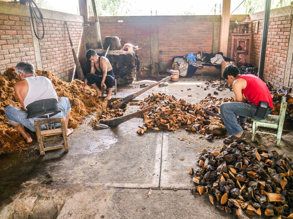 smashing agave by hand oaxaca mezcal