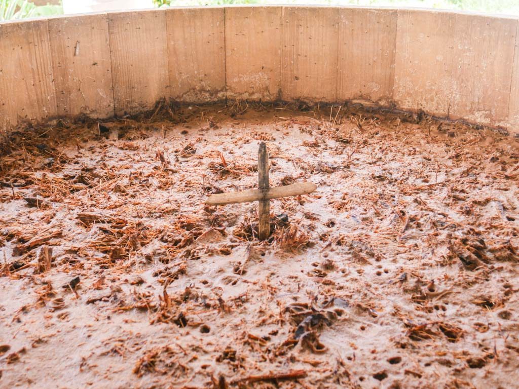 agave fermentation for mezcal oaxaca