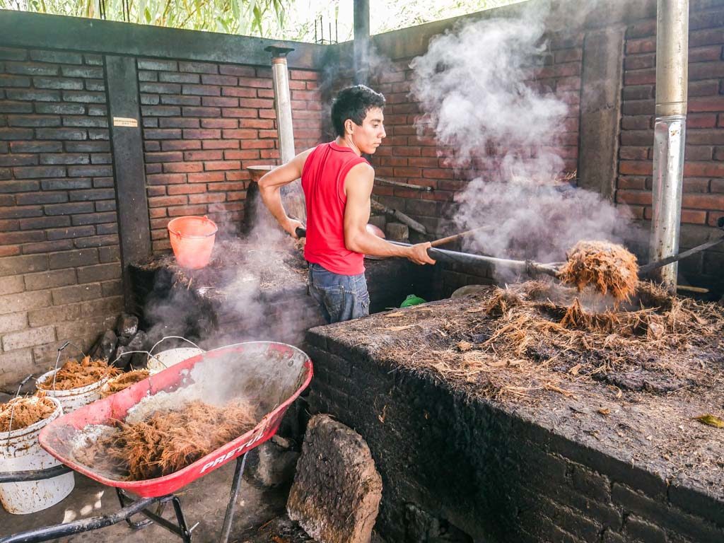 making mezcal oaxaca