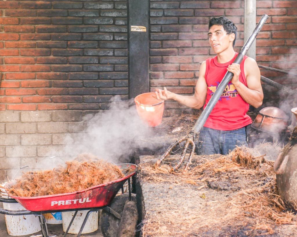 oaxaca mezcal tour lalocura