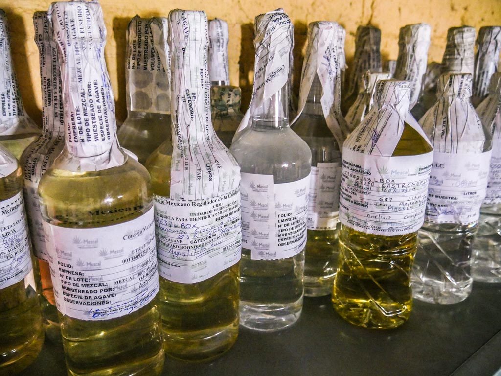 oaxaca mezcal tour