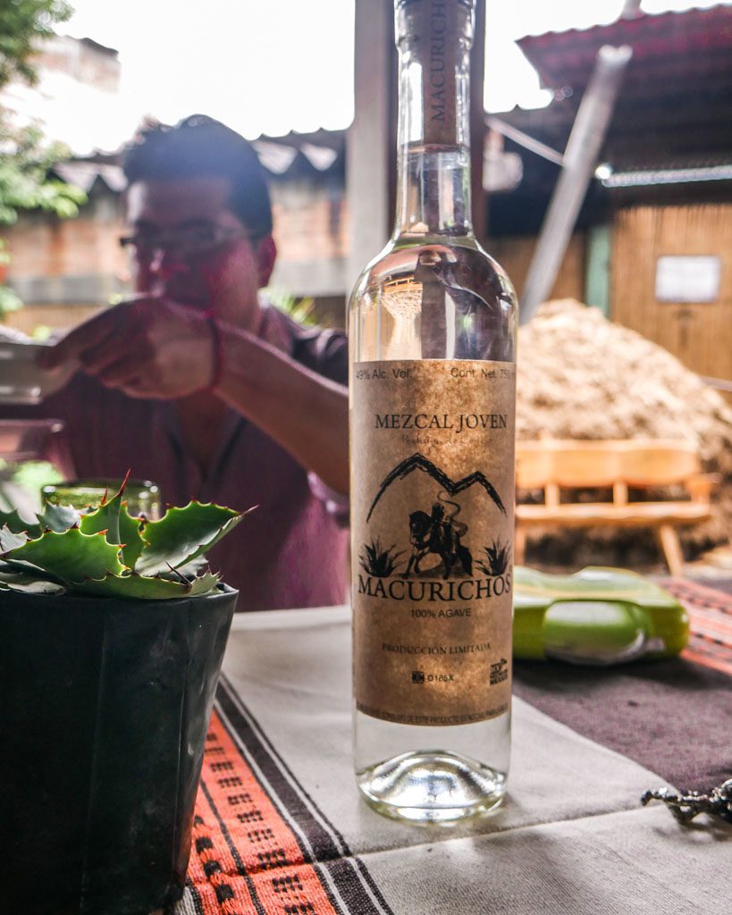 tasting mezcal macurichos oaxaca