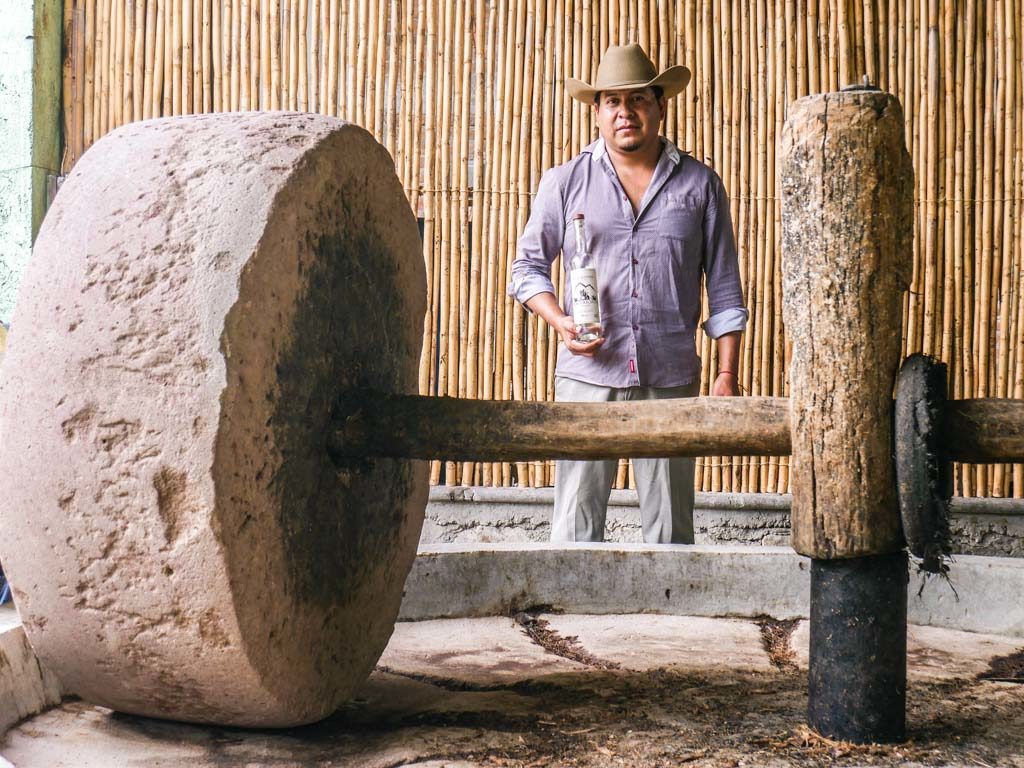 mezcal tour oaxaca