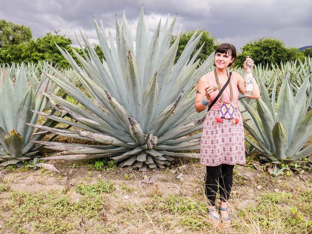 oaxaca mezcal farm tour