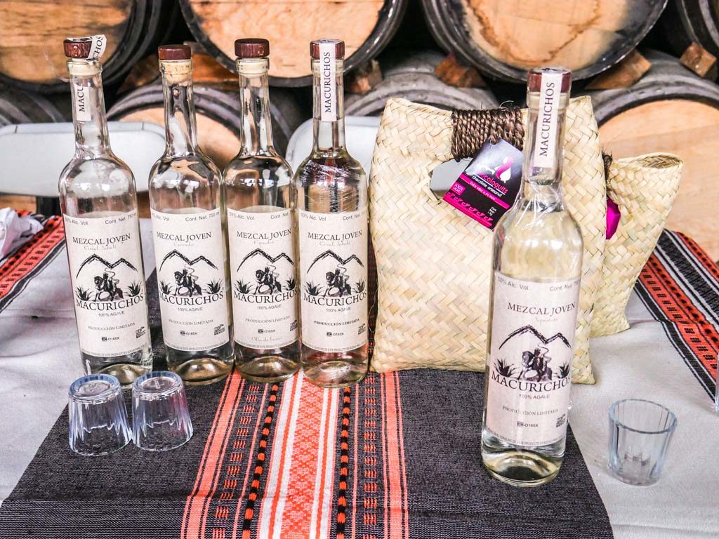 Oaxaca Mezcal Tour Guide to Visiting the Best Mezcal Distilleries with