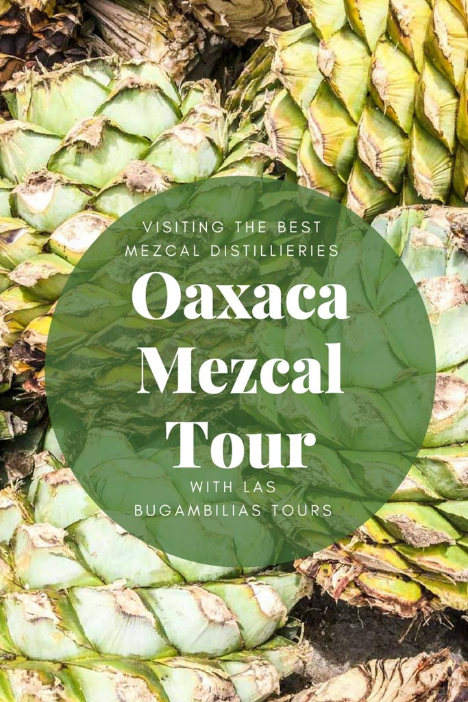 oaxaca mezcal guide pinterest 2