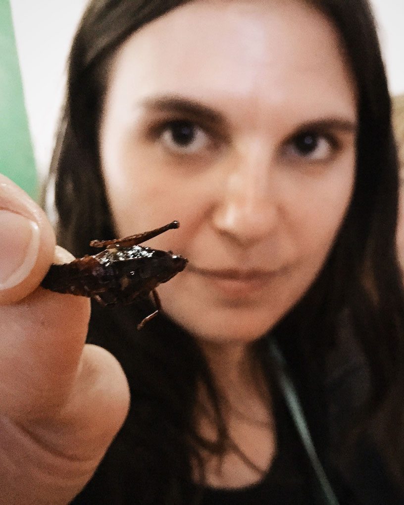 chapulines oaxaca markets