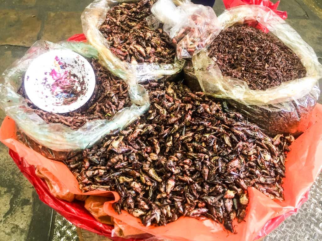 chapulines oaxaca markets