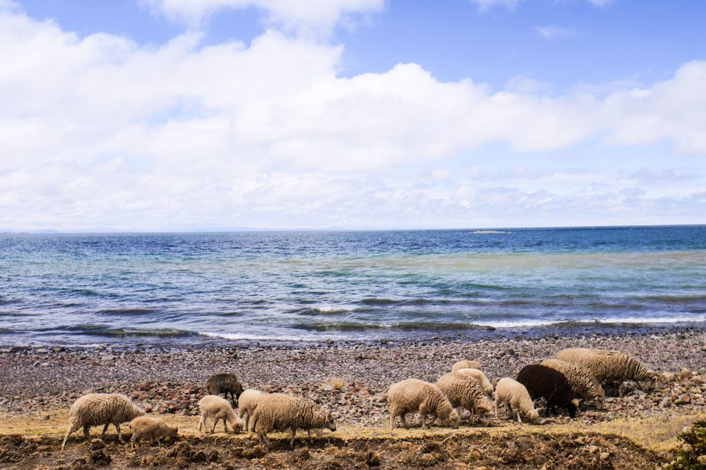 amantani island lake titicaca