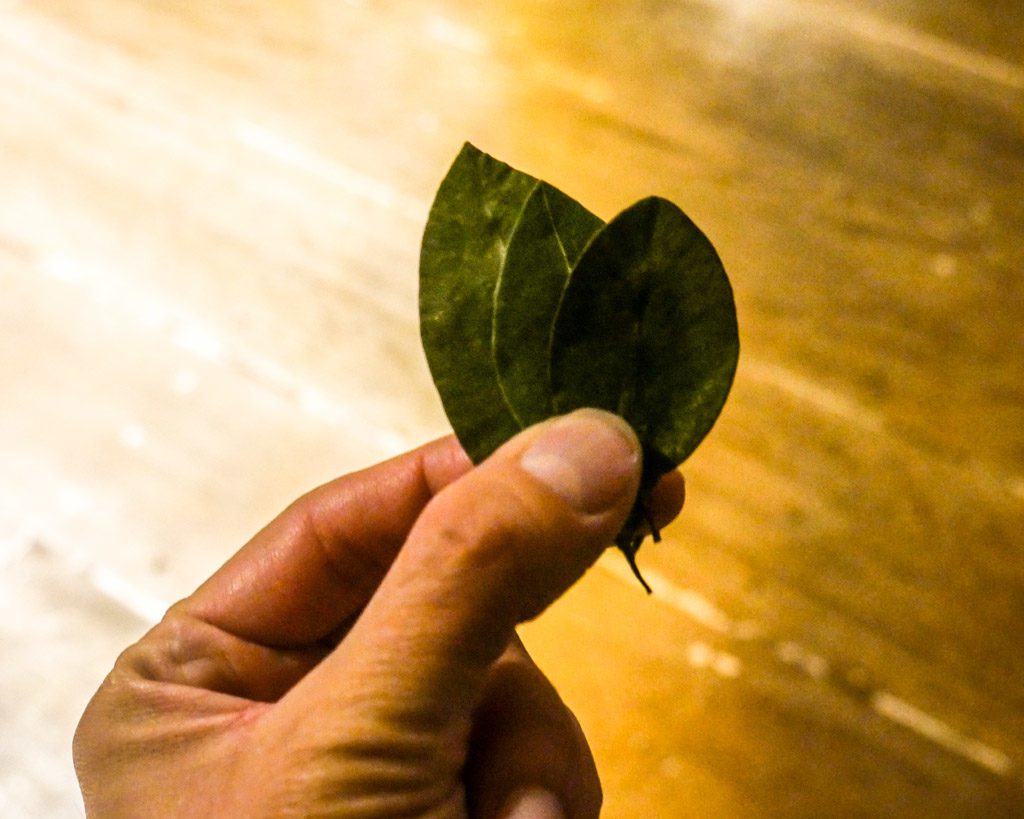 coca leaves amantani tour