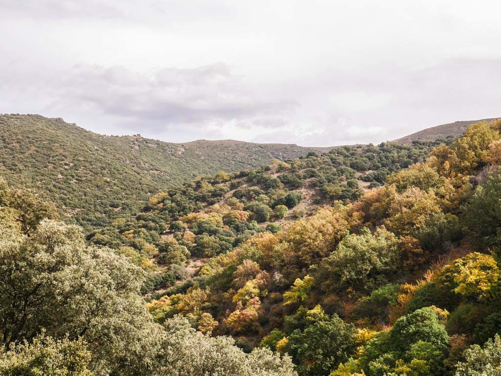 dehesa del camarate sierra nevada