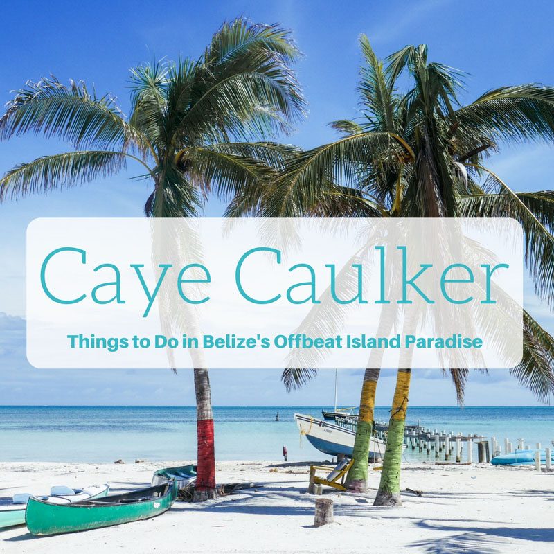 caye caulker what to do