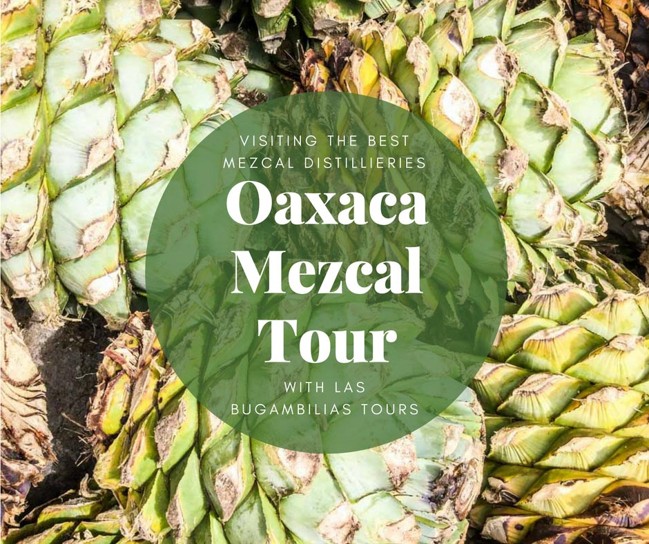 Oaxaca mezcal tour