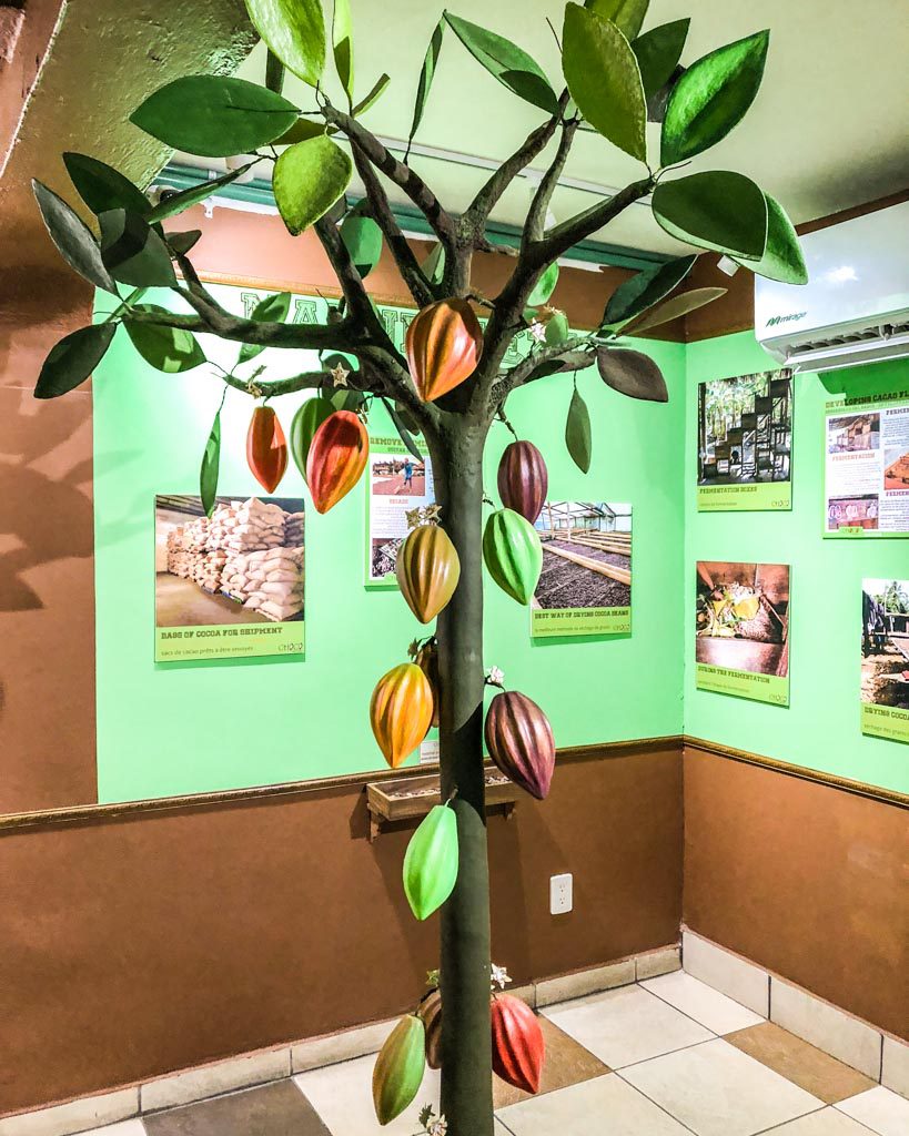 choco museum puerto vallarta