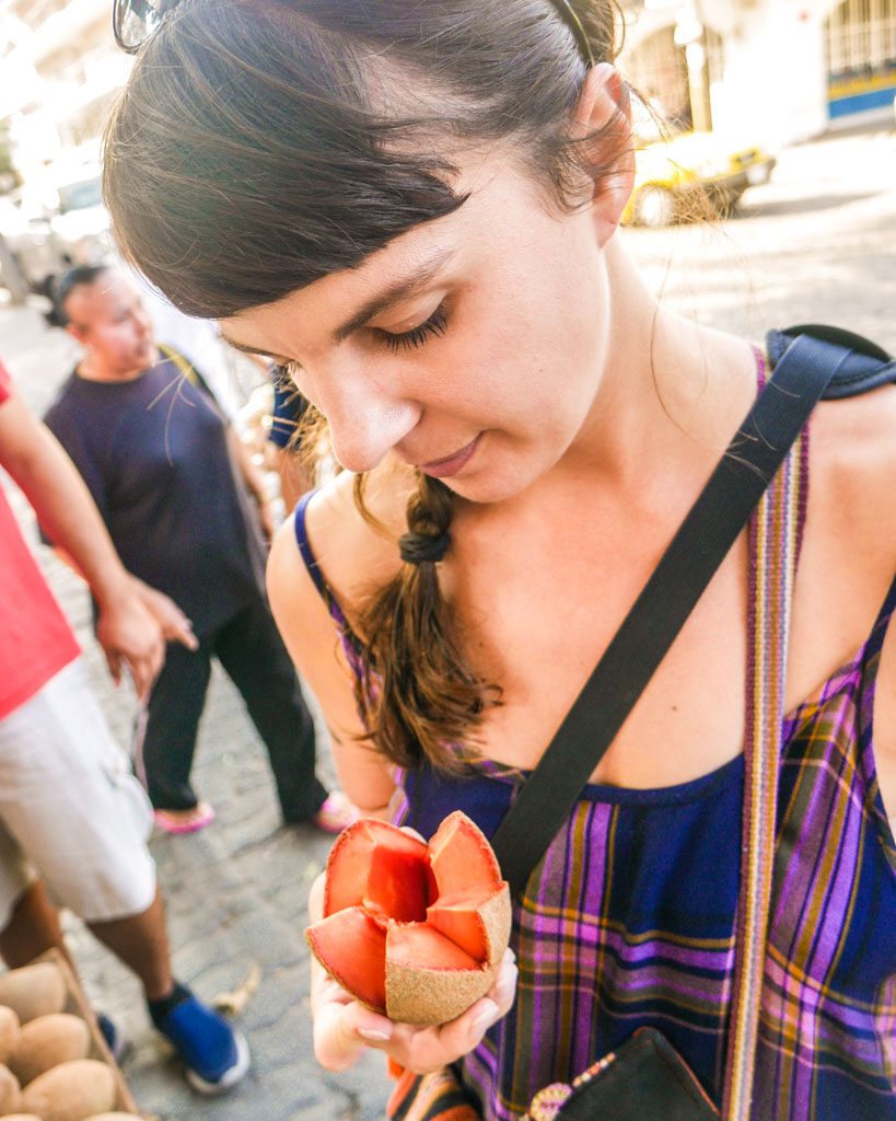 mamey fruit puerto vallarta