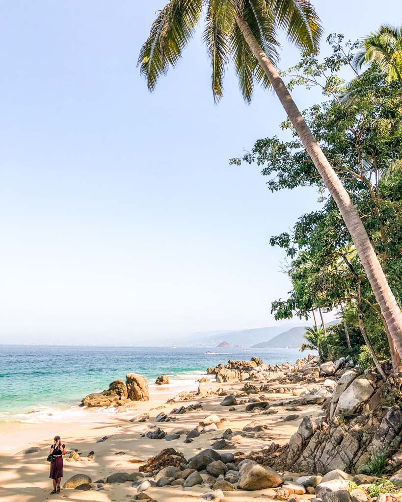 playa caballo puerto vallarta beach