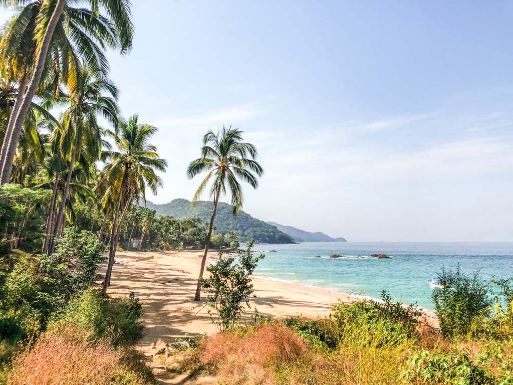 playa caballo puerto vallarta instagram beaches