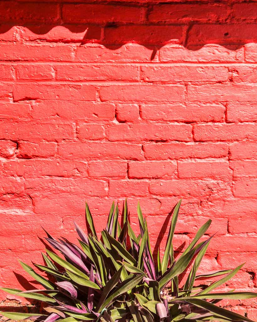 yelapa colorful town instagram puerto vallarta