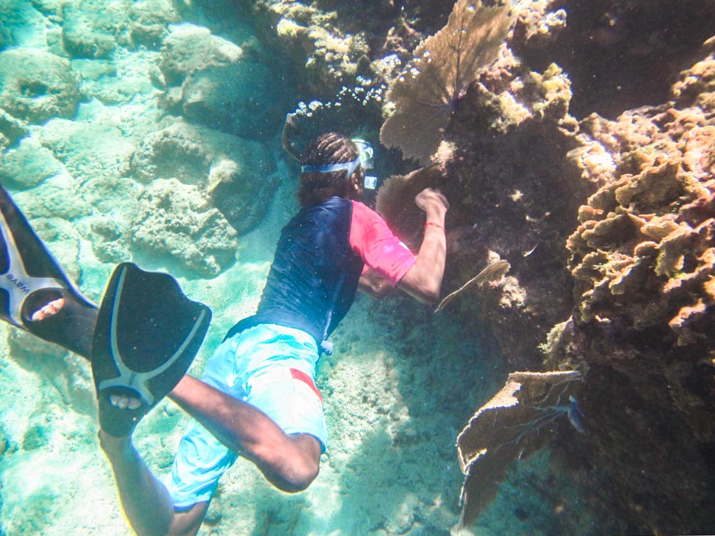 snorkeling cayos cochinos honduras