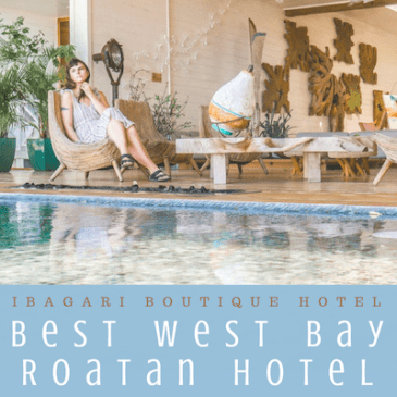 west bay roatan hotel thumbnail copy