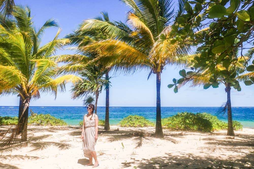 palm trees in the east end roatan