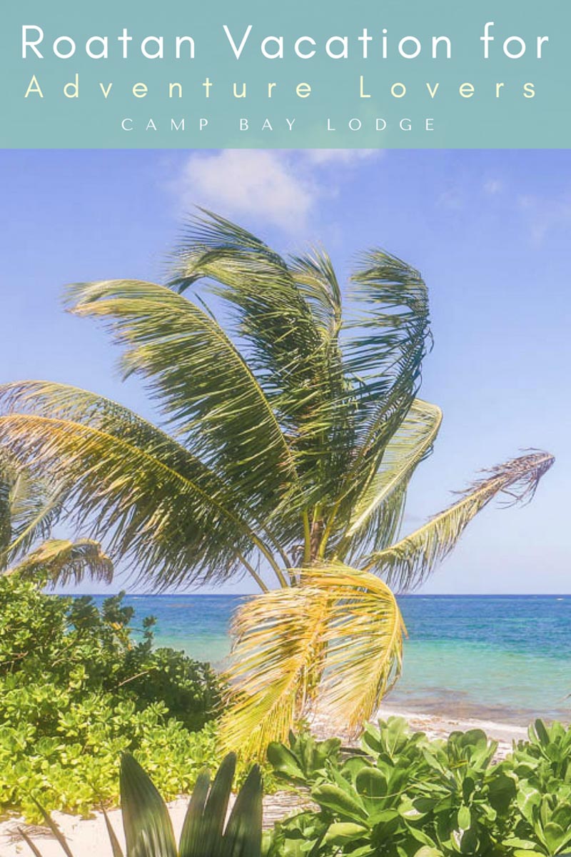 roatan vacation camp bay pin roatan vacation camp bay pin