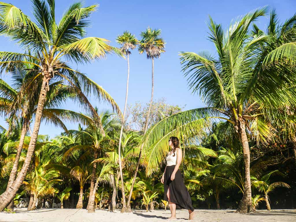 west bay beach palm trees roatan