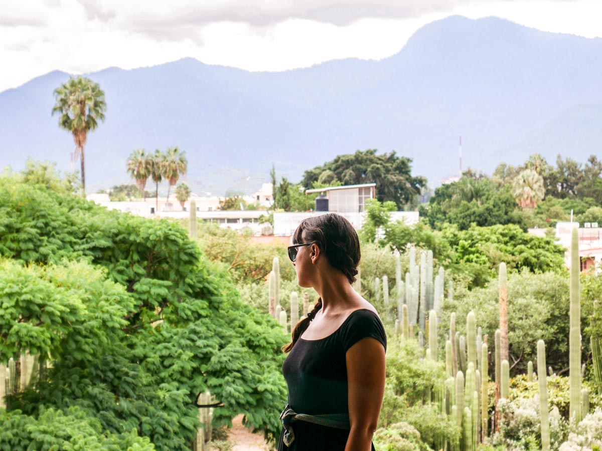 best restaurants in oaxaca botanical garden