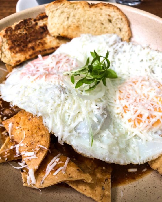 chilaquiles from maguey y maiz oaxaca